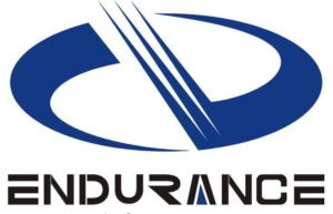 Endurance logo