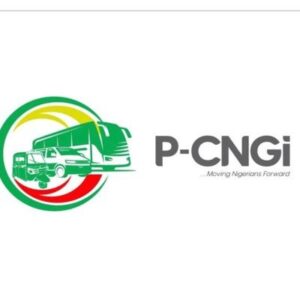 PCNGi logo